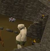 clocktower2 pic