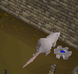 clocktower5 pic