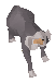 Level 51 Experiment