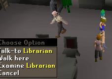 Librarian