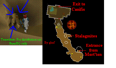 Stalagmite entrance pic and tunnel map