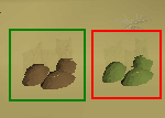 Good and Bad Dung