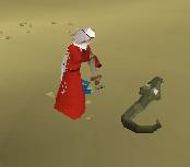 Charming a Snake